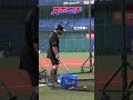 【神業】泉口先輩のバント練習で器用に球拾いする浅野 #shorts #巨人