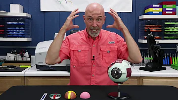 Are eyes spheres?