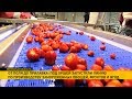 Под Оршей запустили линию по производству замороженных овощей, фруктов и ягод