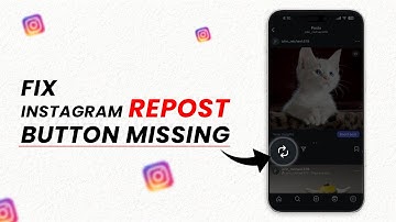 5 manieren om het ontbrekende repost-knopje op Instagram te verhelpen.