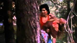Ticks - Trailer