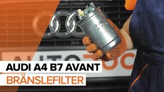 Byta Dieselfilter AUDI A4 Avant (8ED, B7) - guide