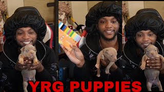 YourRAGE & Chat Give His Puppies Collars *WHOLESOME*