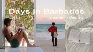 Calm days in my life in Barbados. Feeling life transitions, changes and starting new chapters.