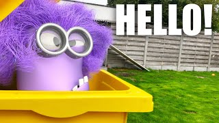  Purple Minion In Real Life Must See Funny