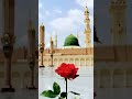 donon Jahan ke Malik #status #allah #Islamic shorts#ytshorts #naat #bestyoutuber #plzsubscribe