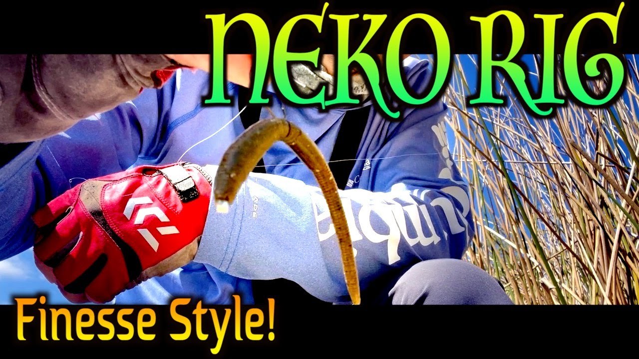 [Neko rig] Japanese Finesse Style. [BASS FISHING] YouTube