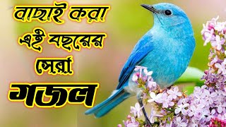 আমার একটা মন ছিলো নতুন বাংলা সঙ্গীত একবার শুনে দেখুন আসাকরি ভালো লাগবে ইনশাআল্লাহ