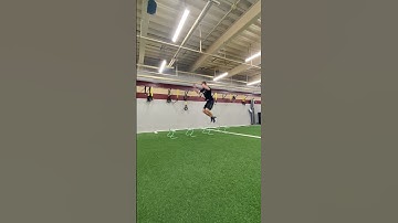 Linear Hurdle Jumps with Mini Bounce