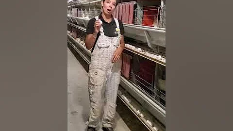 Tonya, an Ontario Egg Farmer talks about careers i...