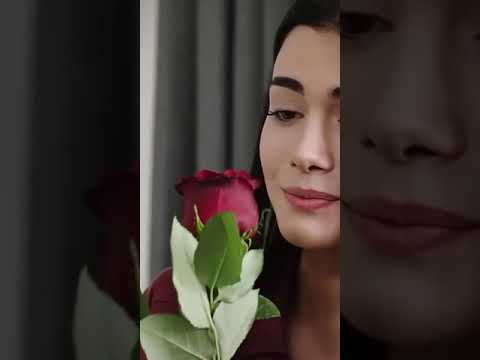 ماليش في الدنيا حاجه تقدر تبعدني عنك