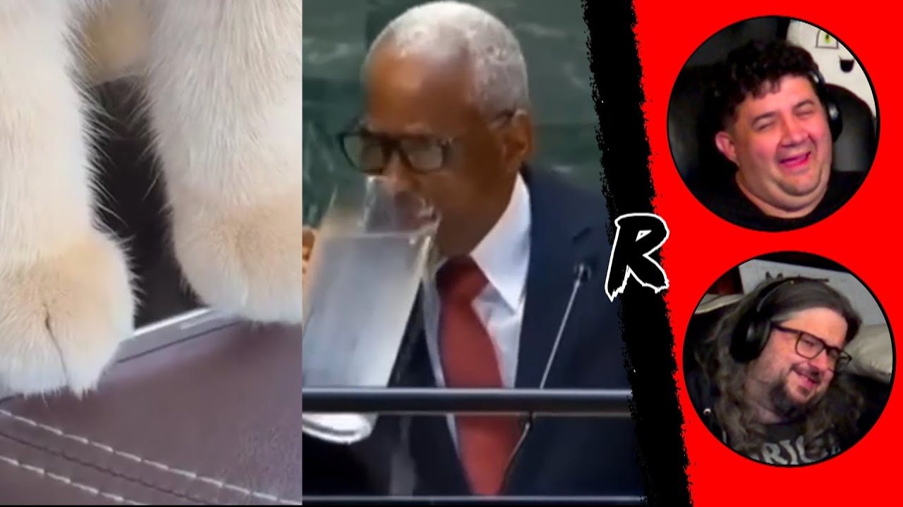 НЕОБЫЧНАЯ ПОДБОРКА МЕМОВ V306 и V307 | РЕАКЦИЯ РЕНЕГАТОВ