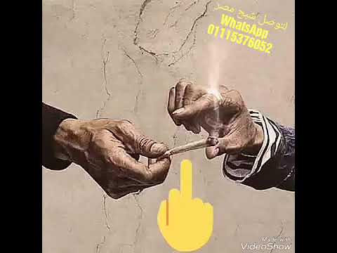 عبد الباسط حمودة لازم تشرب معايا حالات واتس شعبي