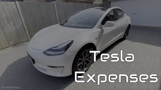 Telsa Model 3 Cost to Run - PunjabiBeardos