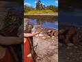 Simulate extreme hunting & survival skills vol176 rdr2 #shorts #short