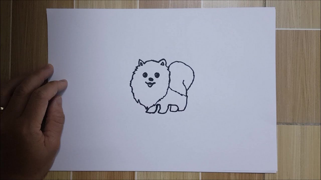 Vẽ con vật #41: Vẽ một chú chó Phốc sóc dễ thương | How to draw a ...