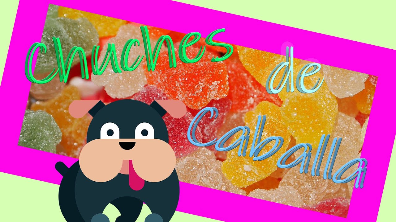 CHUCHES de caballa  (pescado) para 🐶 PERROS 💖