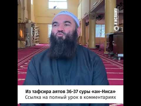 Почему учёные молчат? Ринат Абу Мухаммад #Shorts