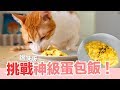 挑戰神級貓料理！短褲卻憤怒了！？【貓副食食譜】好味貓鮮食廚房EP154