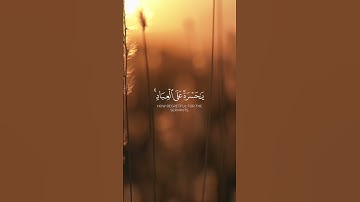 إن كانت إلا صيحة واحدة #سورة يس #بصوت أنس شهاب #حالات_واتس #راحة_نفسية