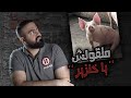 ليه او سخ شتيمة هي يا خنزير