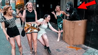 Top FUNNIEST Compilation of Gorilla & Bushman Prank/ AWESOME REACTIONS