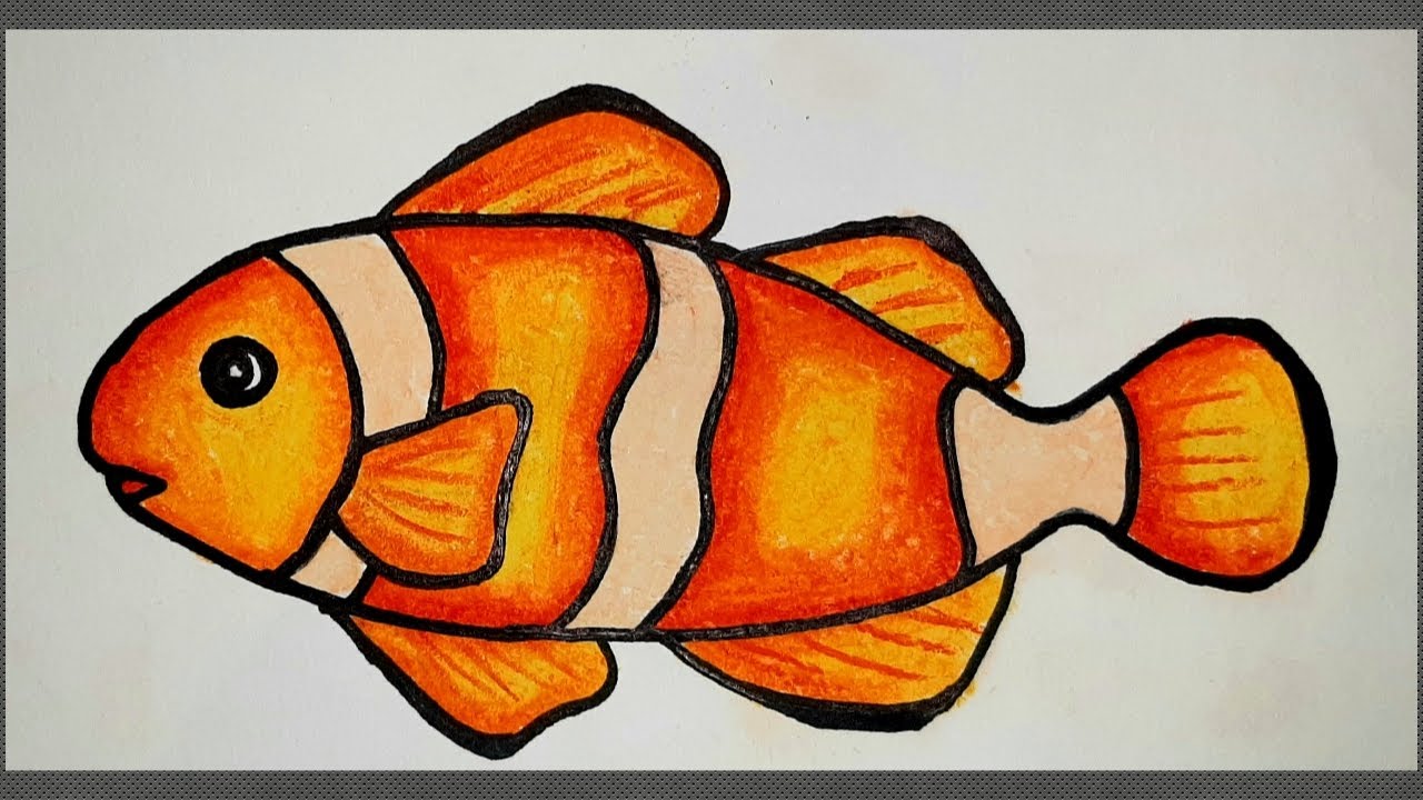 How to Draw Fish: Easy Step-by-Step Fish Drawing [With Video