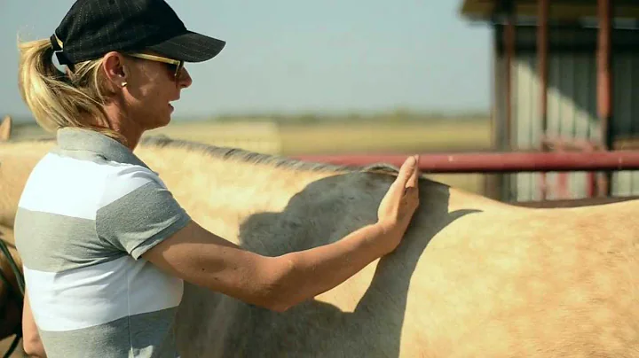 Sherry Cervi Explains Saddle Fit & Using 'Shims'