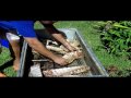 How to roast a whole chicken  cooking chicken and ribs con la caja china