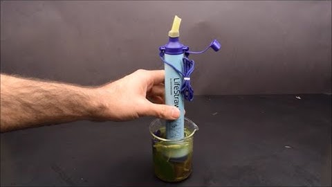 LifeStraw Filtered Dirty Water Under the Microscope