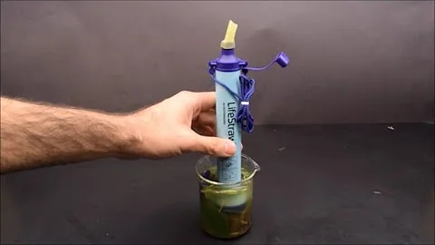 LifeStraw Filtered Dirty Water Under the Microscope