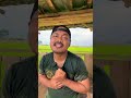 Dendang pagi di sawah #petanipadi #sawah #petaniindonesia #farming #cinematiksawah #subscribe