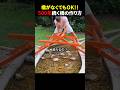 ㊗️1000万再生!!橋がなくてもOK!!500年続く橋の作り方 #ほっこりショート