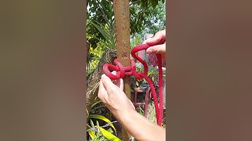 quick release knot knot tying