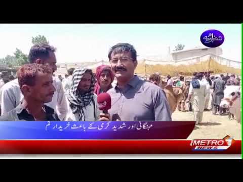 Shehar Nama | Pakistan News Updates | Metro1 News | 19 May 2026