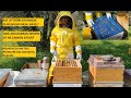 Kat attm kovana izgara attm part3ana ari izgarasini nasil attim aricilik beekeeping bee