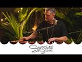 Indubious  see sharp live music  sugarshack sessions