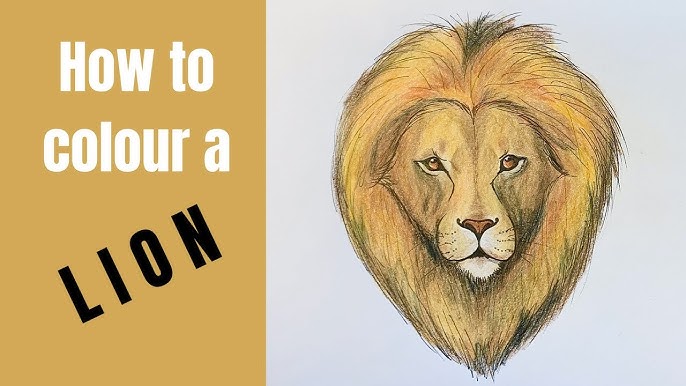 Beginners - How to Draw a Lion 
