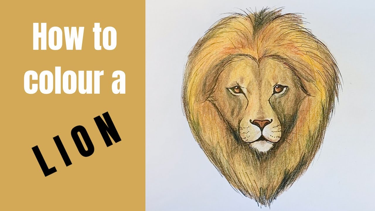 How to colour in a lion - YouTube