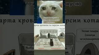 Мемчики) #shorts #мем #мемы #ржака #кот #meme #mem #cat #котики #мемыскотами