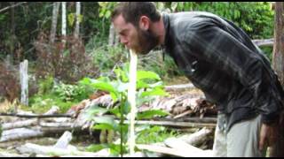 Ayahuasca Retreat Review - Clint - Ayahuasca Foundation - Peru