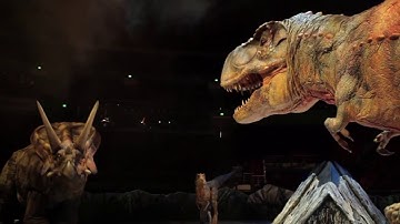 Active Matrix Networks Demo