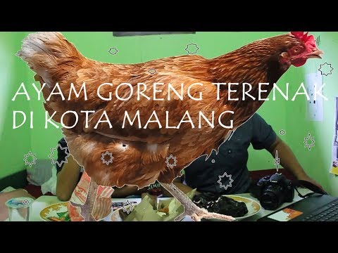 ayam-goreng-terenak-di-kota-malang---dailyschool-indonesia