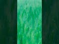 relaxing music #flute #music #love #shortvideo #nature