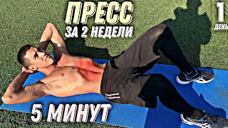 ПРЕСС ЗА 2 НЕДЕЛИ | ДЕНЬ 1: 5 МИНУТ