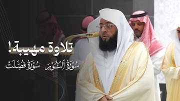 تلاوة مهيبة من سورتي النور وفصِّلت للشيخ بدر التركي | عشاء 22-3-1447هـ