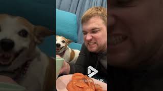 Dog growls and want his salmon || Viral Video UK