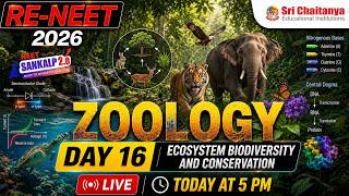 🚀 Sankalp 2.0 RE-NEET 2026 Free Crash Course | Ecosystem: Biodiversity & Conservation | NEET Zoology
