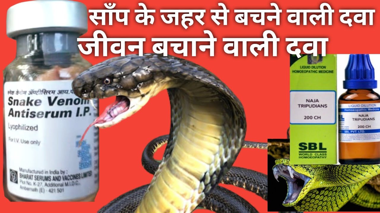 साँप काटने पर काम आने वाली दवा Snake Venom Antiserum कहाँ से खरीदे
