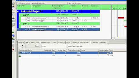 Primavera P6 Adjust Budgeted Units per Time for a resources